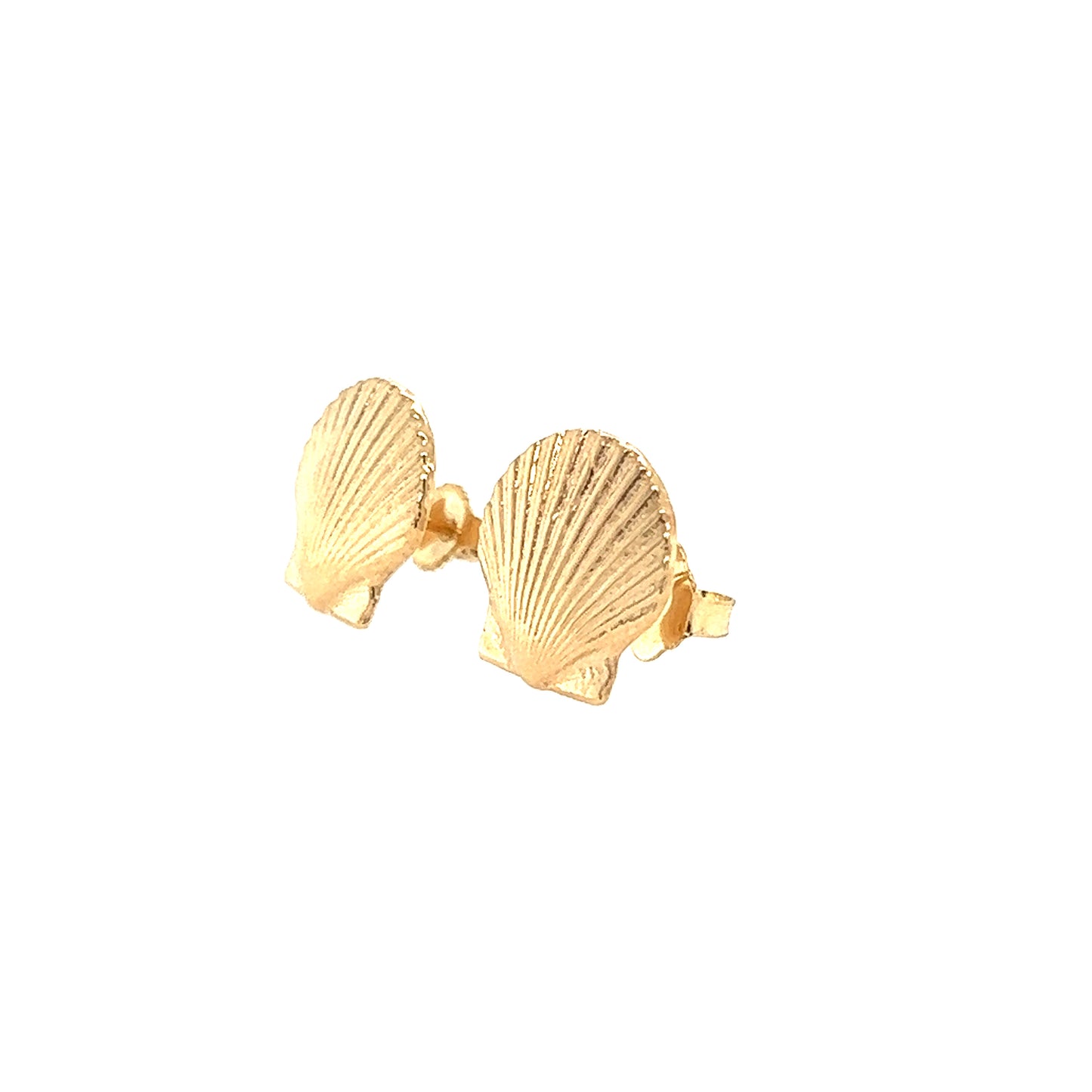 Scallop Seashells Stud Earrings in 14K Yellow Gold Left Side View