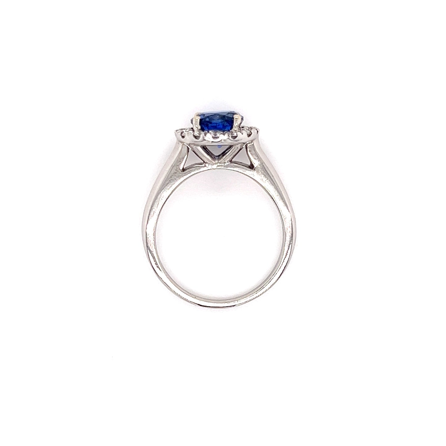 Round Sapphire Ring with Diamond Halo in 14K White Gold Top View