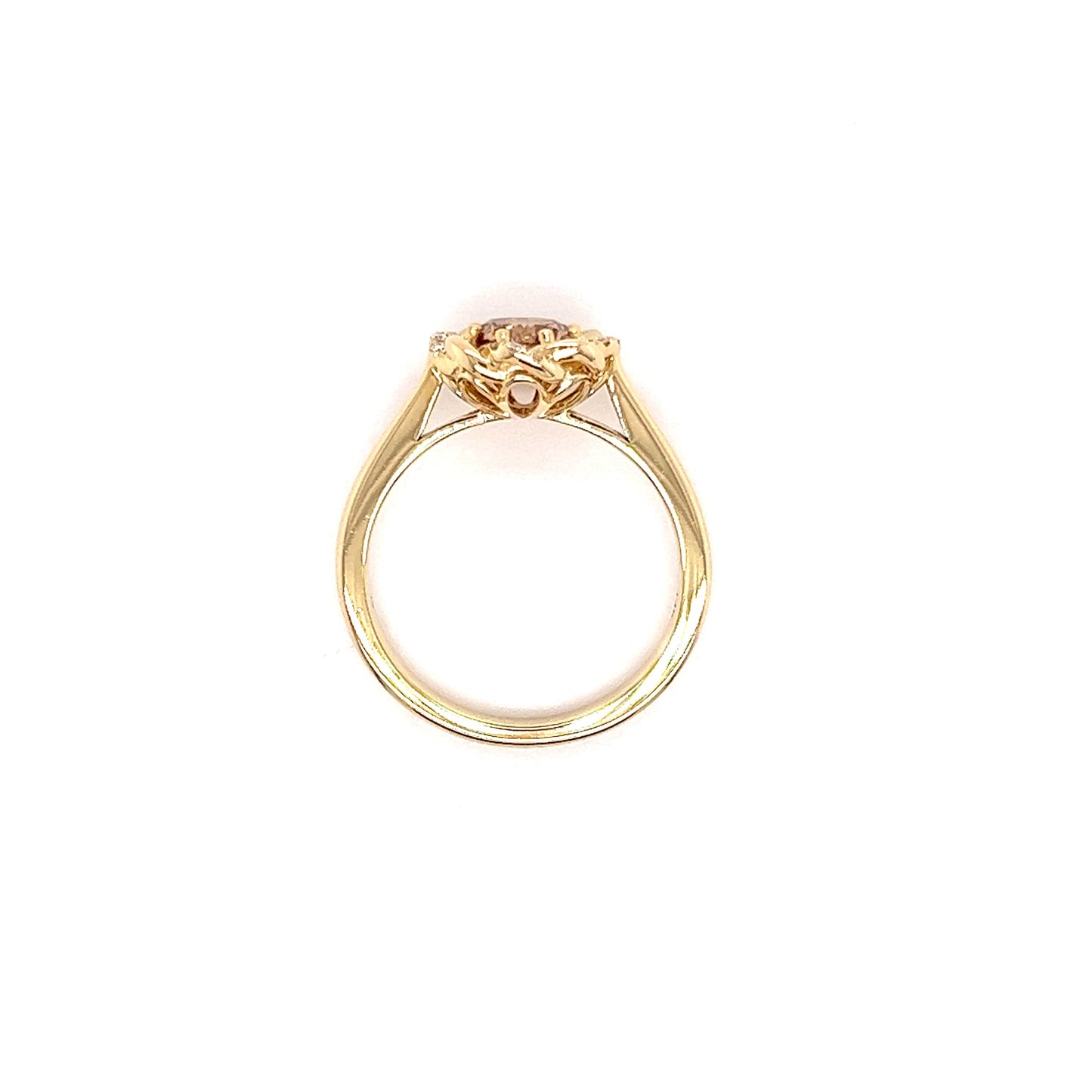 Brown Diamond Ring with Twisted Diamond Halo in 14K Yellow Gold Top View