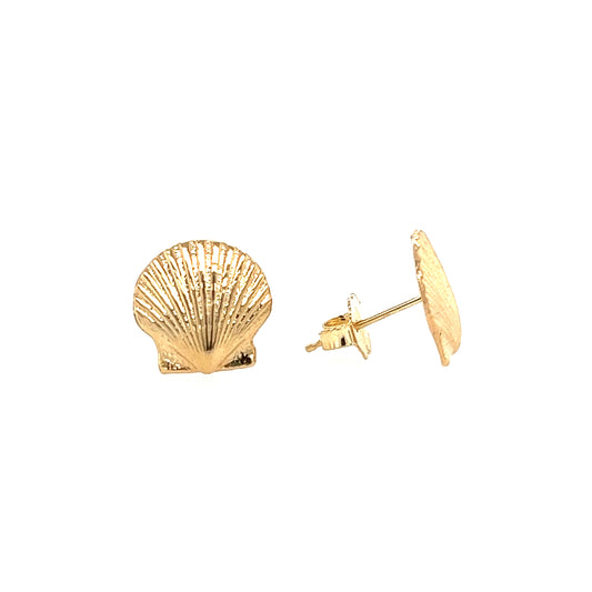 Scallop Seashells Stud Earrings in 14K Yellow Gold Front and Side View