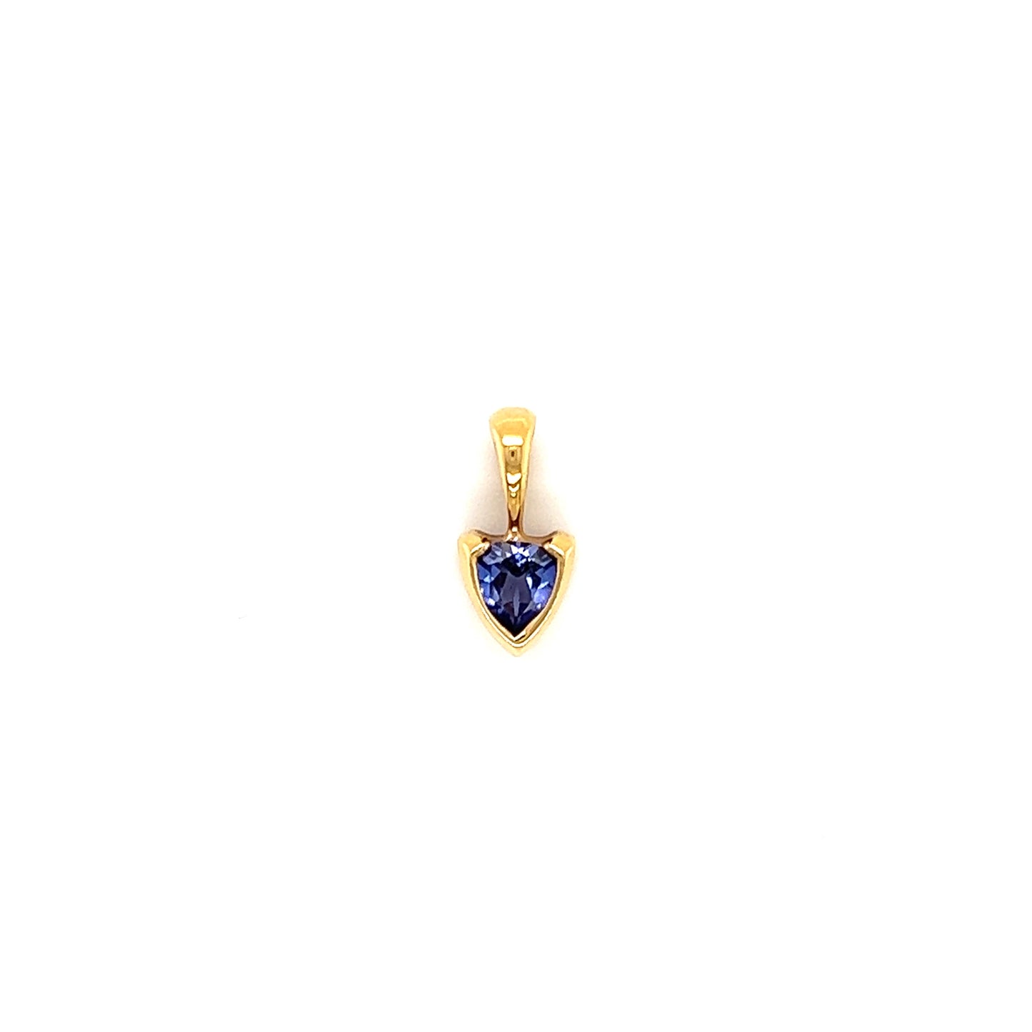 Trillion Tanzanite Necklace with Diamond-cut Rope Chain in 14K Yellow Gold. Pendant Front View
