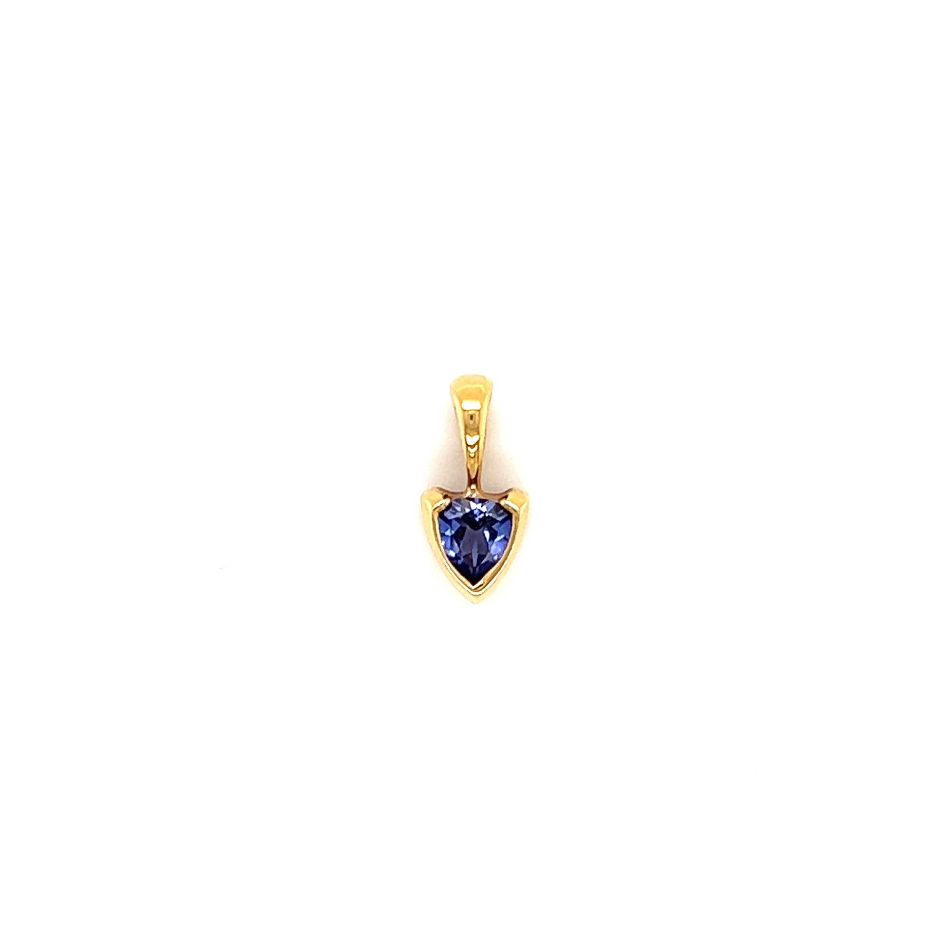 Trillion Tanzanite Necklace with Diamond-cut Rope Chain in 14K Yellow Gold. Pendant Front View