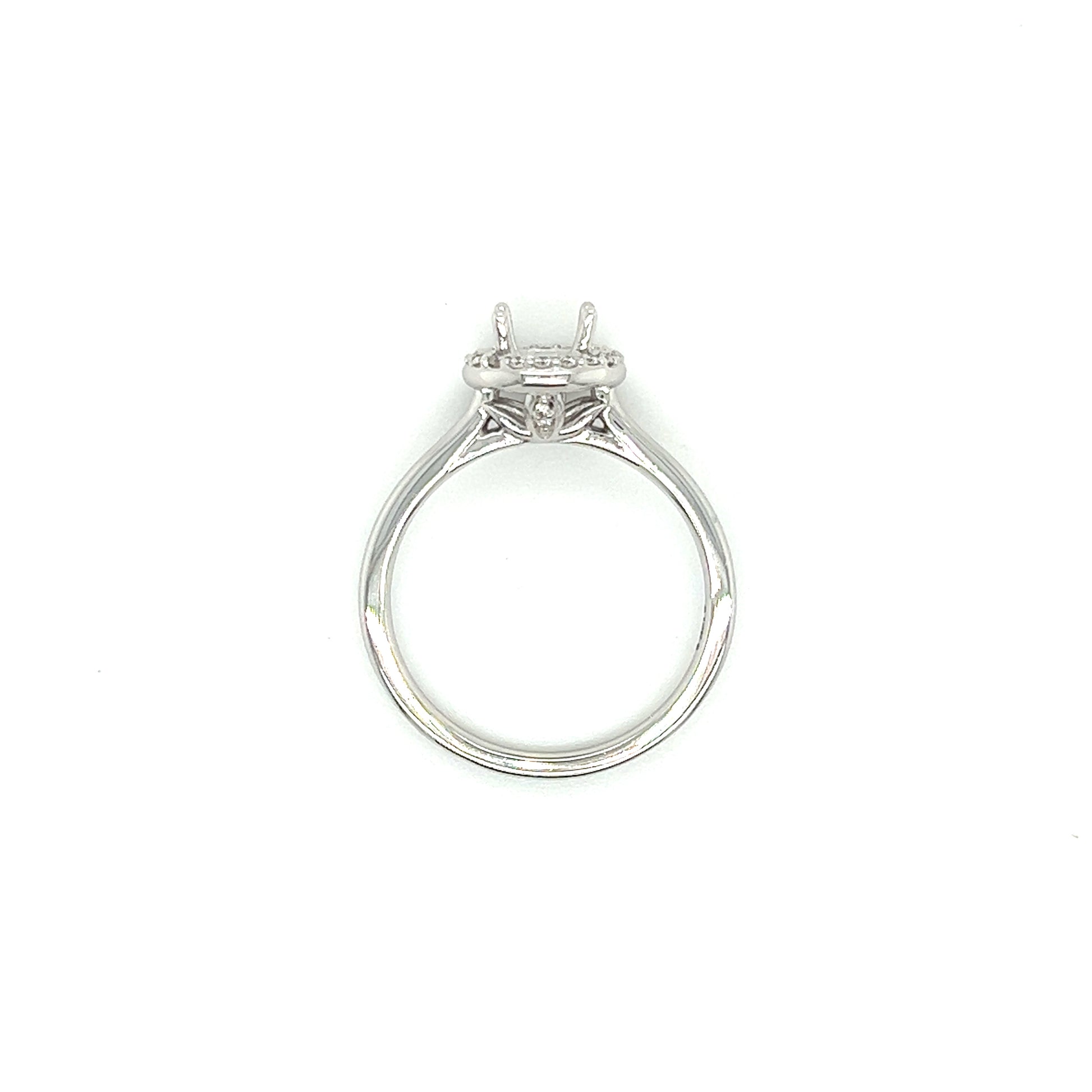 Ring Setting with Round Diamond Halo in 14K White Gold Top View