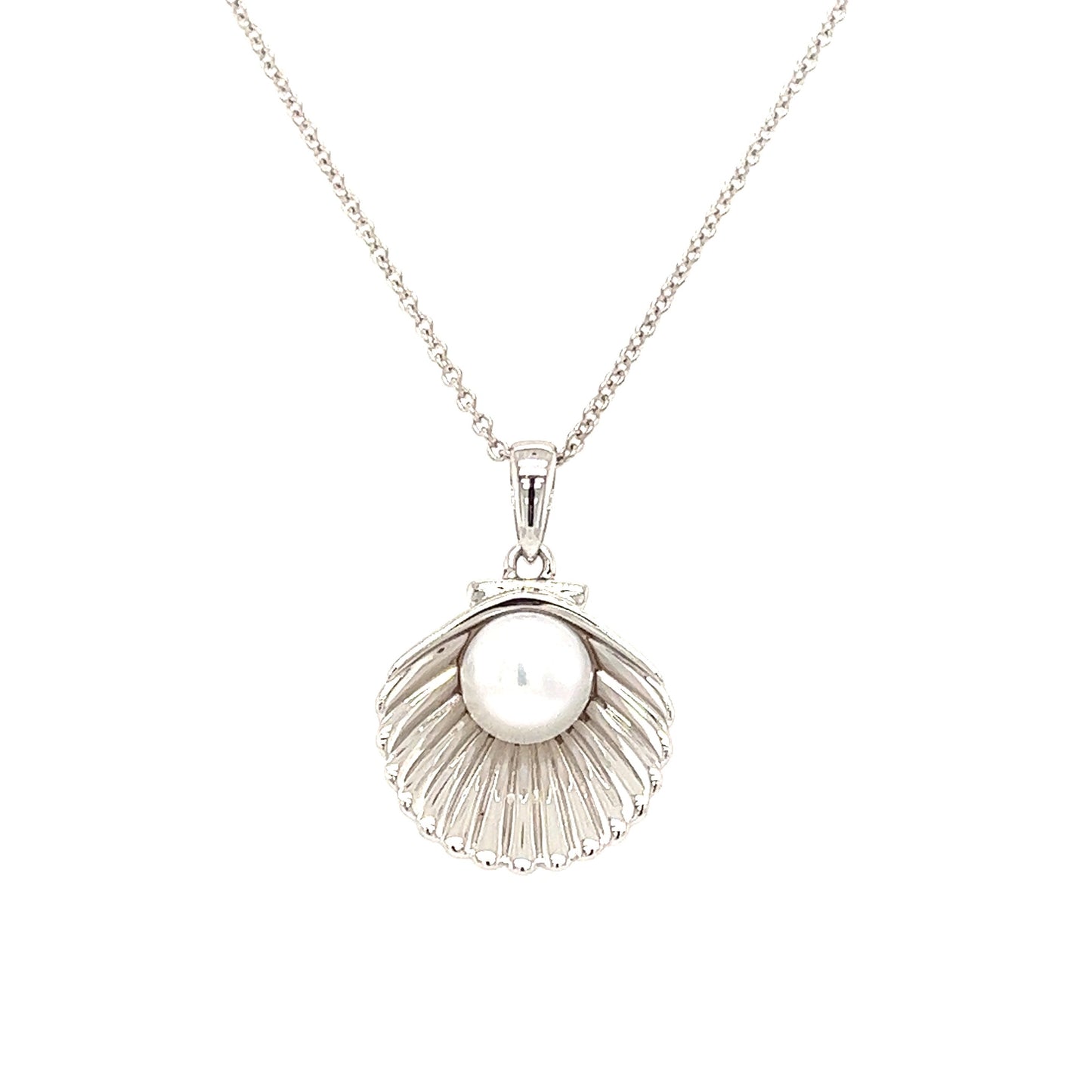 Shell Necklace with White Pearl in Sterling Silver Necklace Front View